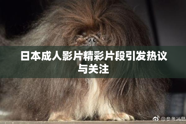 日本成人影片精彩片段引发热议与关注