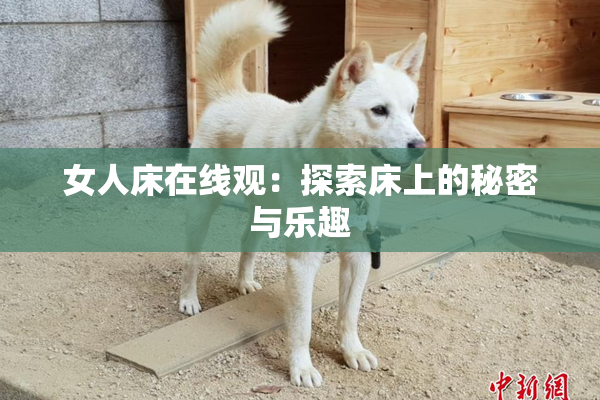 女人床在线观：探索床上的秘密与乐趣