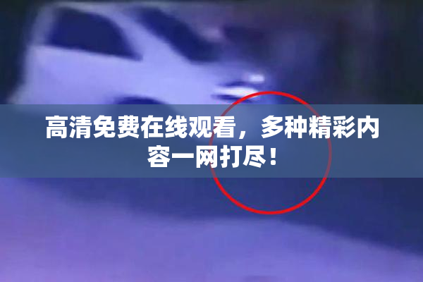 高清免费在线观看，多种精彩内容一网打尽！