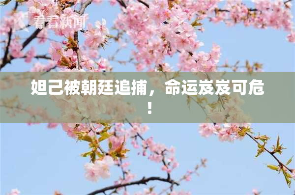妲己被朝廷追捕，命运岌岌可危！