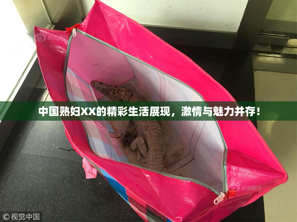 中国熟妇XX的精彩生活展现，激情与魅力并存！