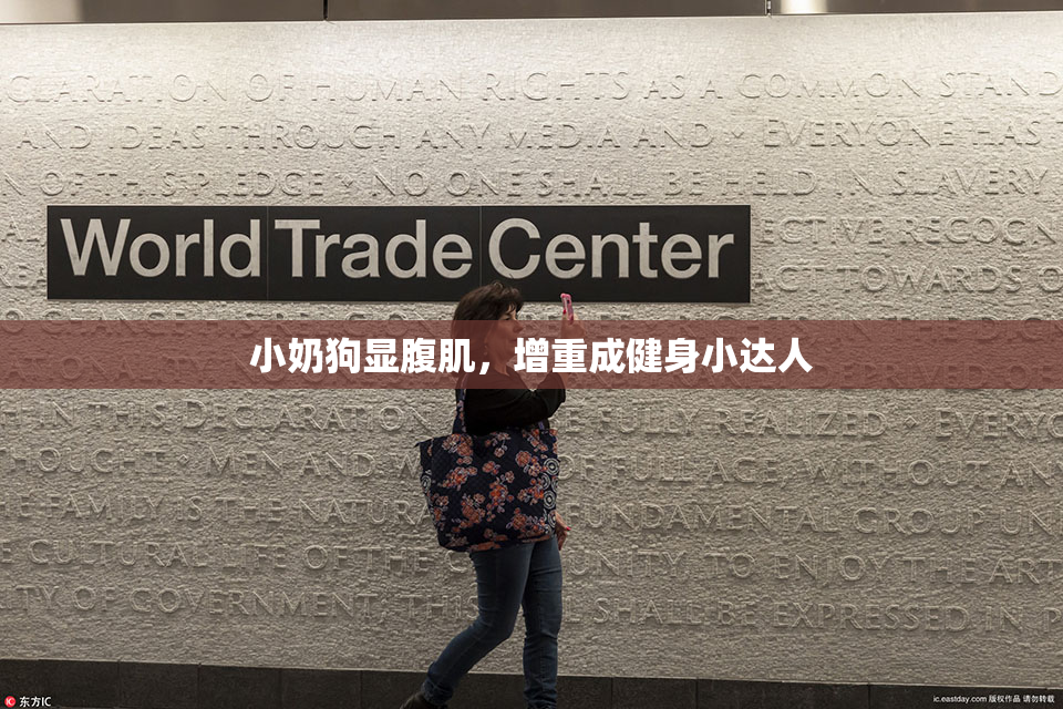 小奶狗显腹肌，增重成健身小达人