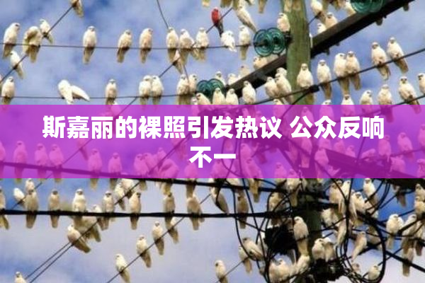 斯嘉丽的裸照引发热议 公众反响不一