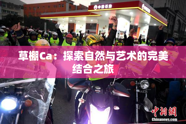 草棚Ca：探索自然与艺术的完美结合之旅