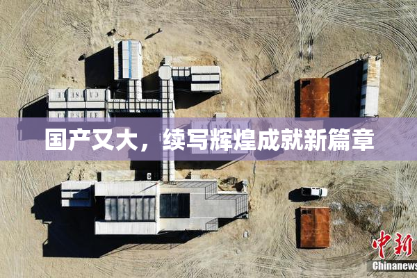国产又大，续写辉煌成就新篇章