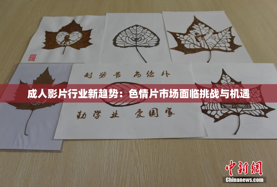 成人影片行业新趋势：色情片市场面临挑战与机遇