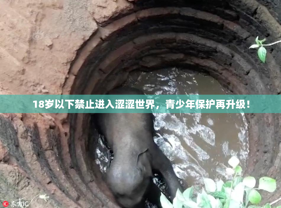 18岁以下禁止进入涩涩世界，青少年保护再升级！