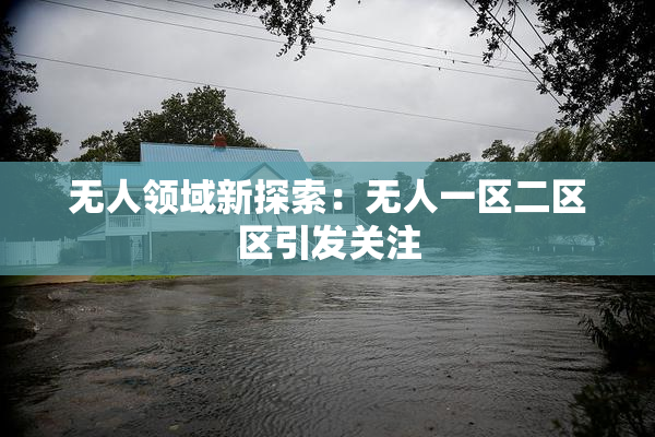 无人领域新探索：无人一区二区区引发关注