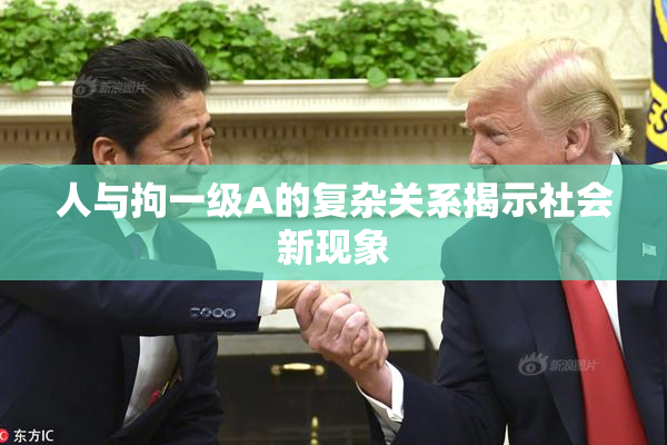 人与拘一级A的复杂关系揭示社会新现象
