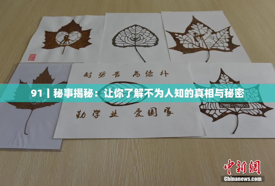 91丨秘事揭秘：让你了解不为人知的真相与秘密