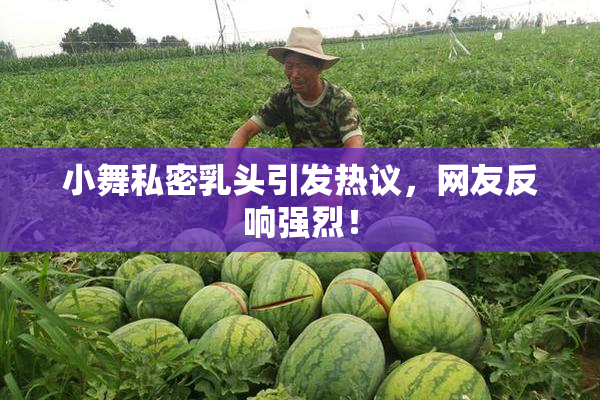 小舞私密乳头引发热议，网友反响强烈！