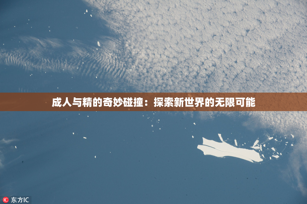 成人与精的奇妙碰撞：探索新世界的无限可能