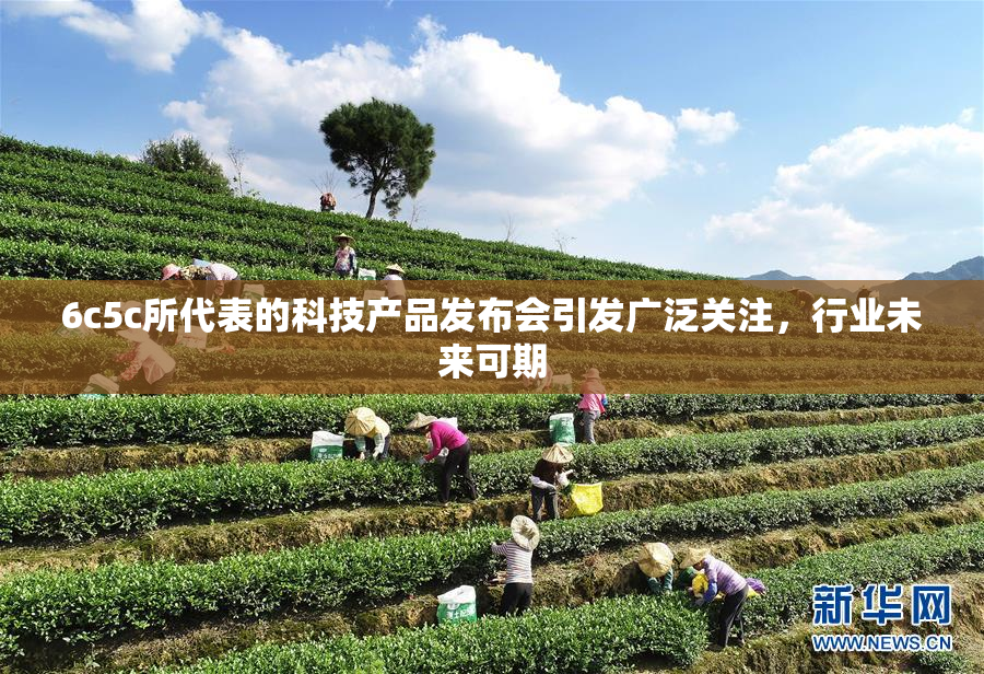 6c5c所代表的科技产品发布会引发广泛关注，行业未来可期