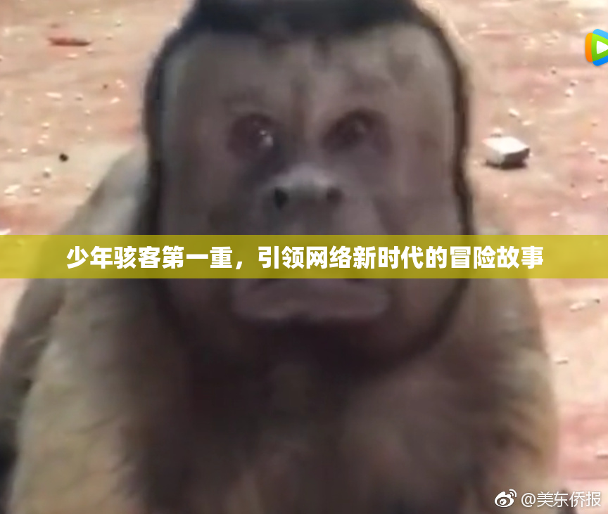 少年骇客第一重，引领网络新时代的冒险故事