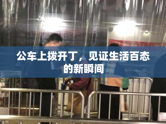 公车上拨开丁，见证生活百态的新瞬间