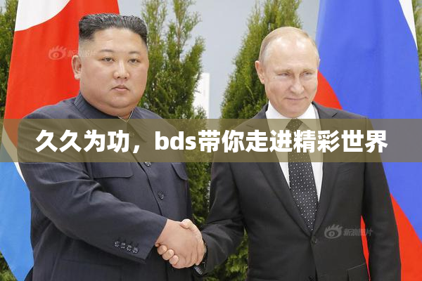 久久为功，bds带你走进精彩世界