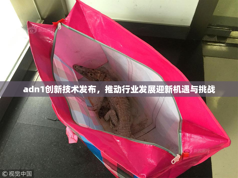 adn1创新技术发布，推动行业发展迎新机遇与挑战