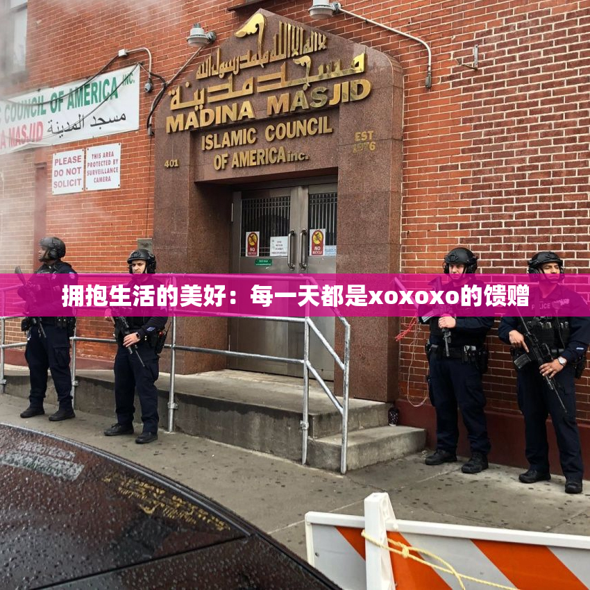 拥抱生活的美好：每一天都是xoxoxo的馈赠