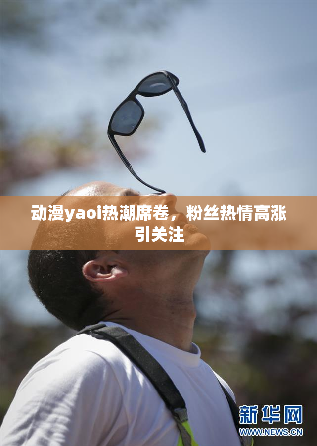 动漫yaoi热潮席卷，粉丝热情高涨引关注