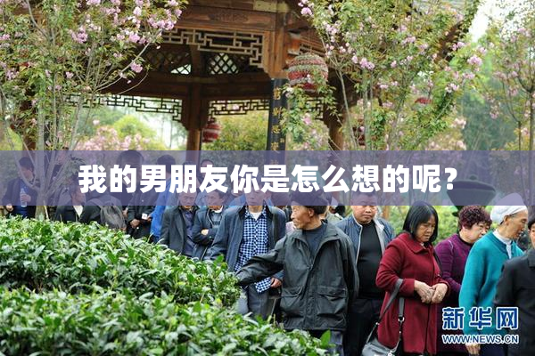 我的男朋友你是怎么想的呢？