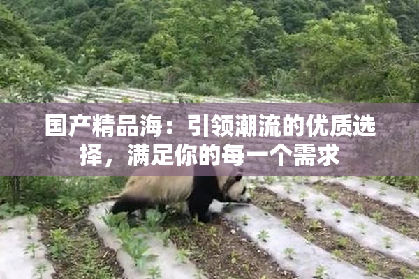 国产精品海：引领潮流的优质选择，满足你的每一个需求