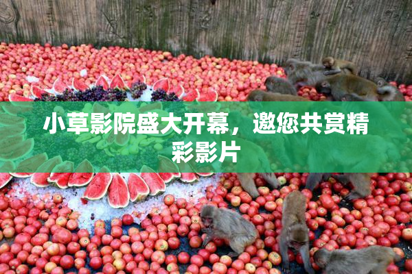 小草影院盛大开幕，邀您共赏精彩影片
