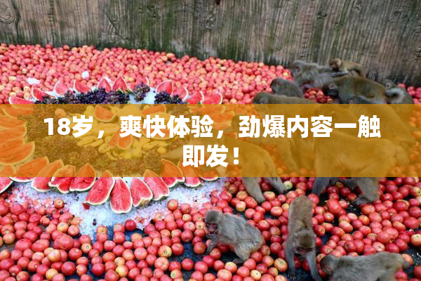 18岁，爽快体验，劲爆内容一触即发！