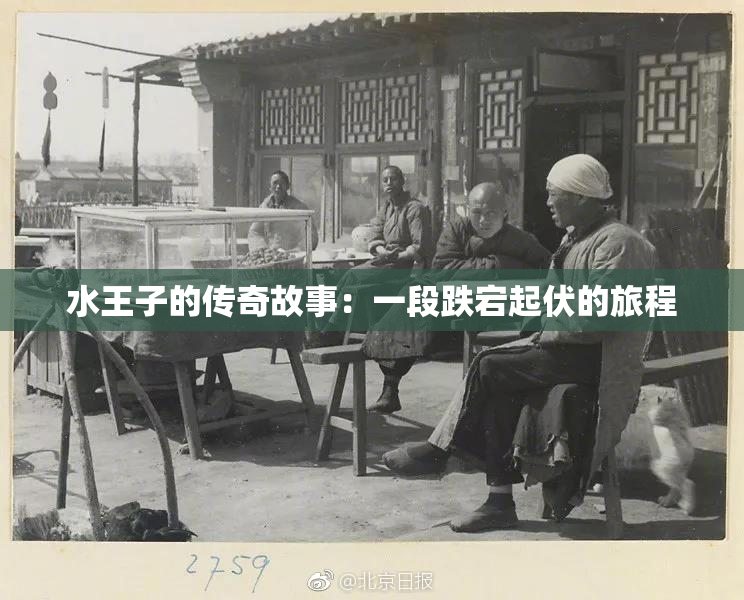 水王子的传奇故事：一段跌宕起伏的旅程