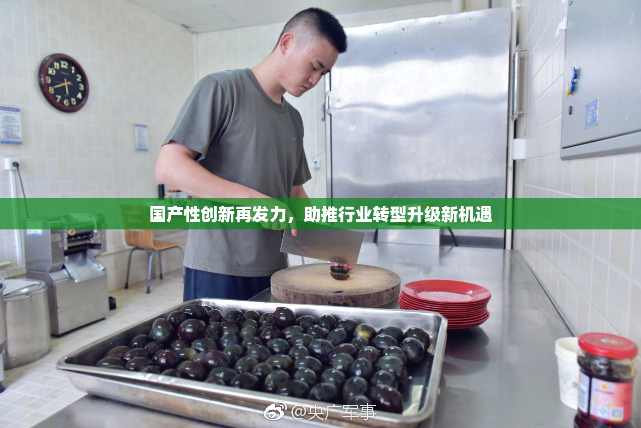 国产性创新再发力，助推行业转型升级新机遇