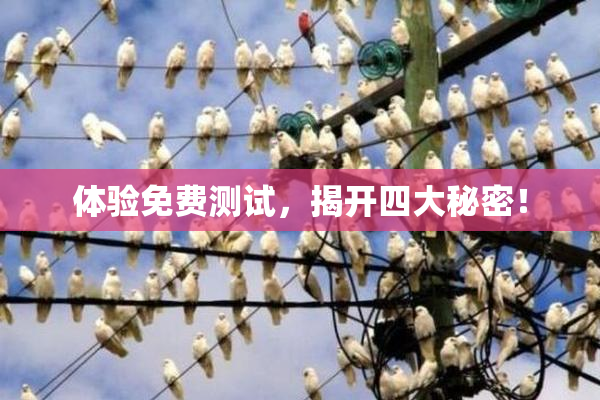 体验免费测试，揭开四大秘密！