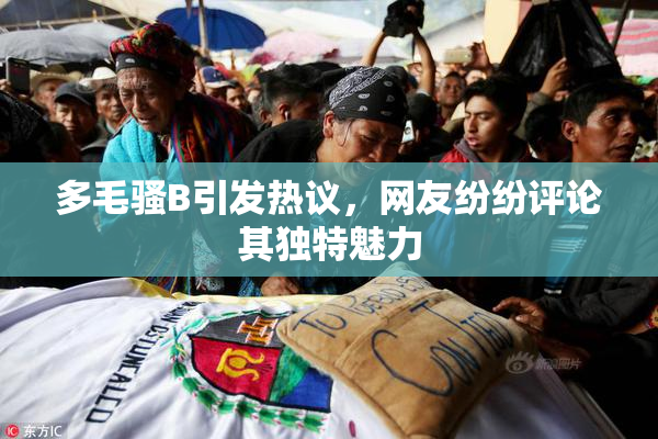 多毛骚B引发热议，网友纷纷评论其独特魅力