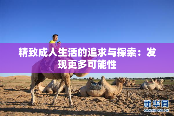 精致成人生活的追求与探索：发现更多可能性