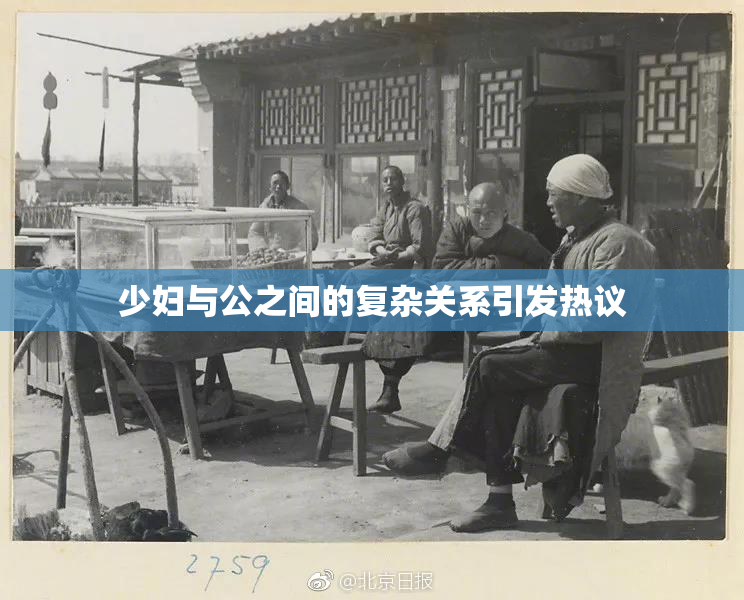 少妇与公之间的复杂关系引发热议