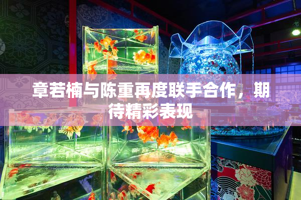 章若楠与陈重再度联手合作，期待精彩表现