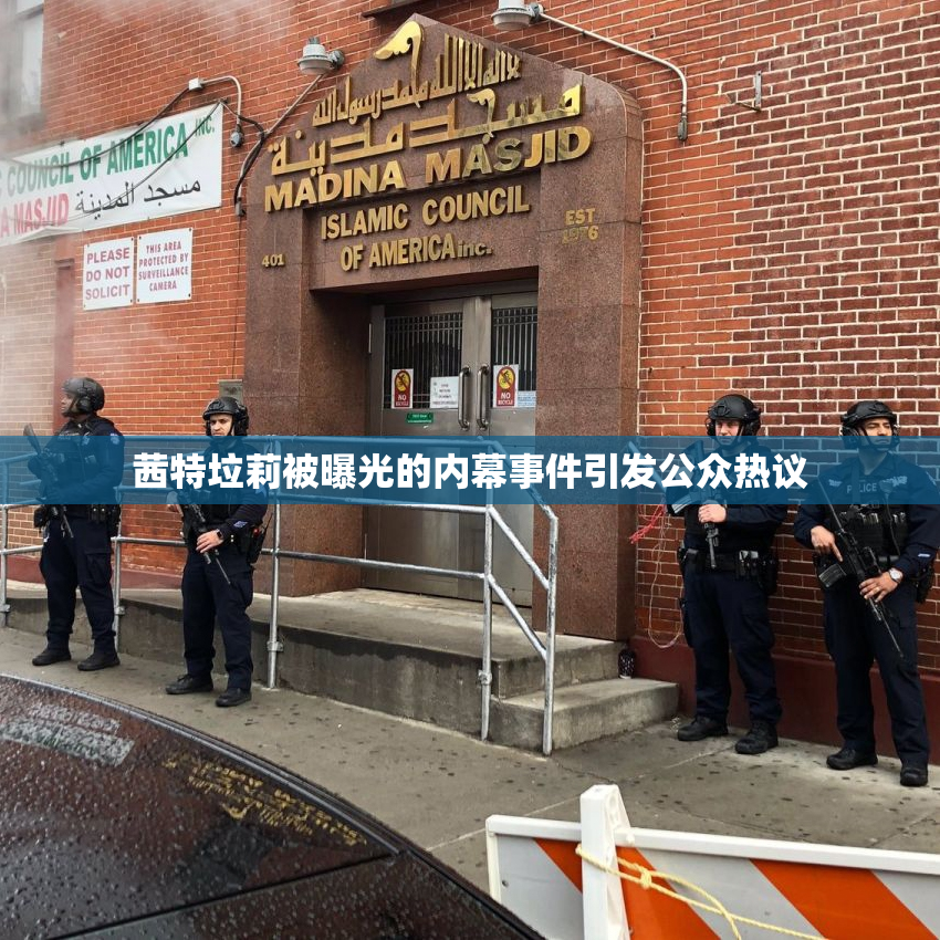 茜特垃莉被曝光的内幕事件引发公众热议