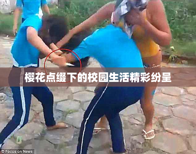 樱花点缀下的校园生活精彩纷呈