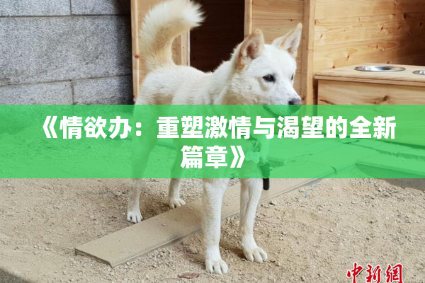 《情欲办：重塑激情与渴望的全新篇章》