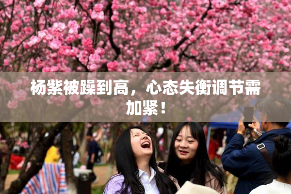 杨紫被躁到高，心态失衡调节需加紧！