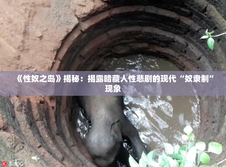 《性奴之岛》揭秘：揭露暗藏人性悲剧的现代“奴隶制”现象