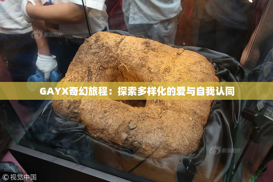 GAYX奇幻旅程：探索多样化的爱与自我认同