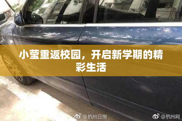 小莹重返校园，开启新学期的精彩生活