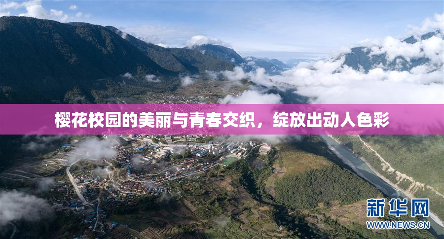 樱花校园的美丽与青春交织，绽放出动人色彩