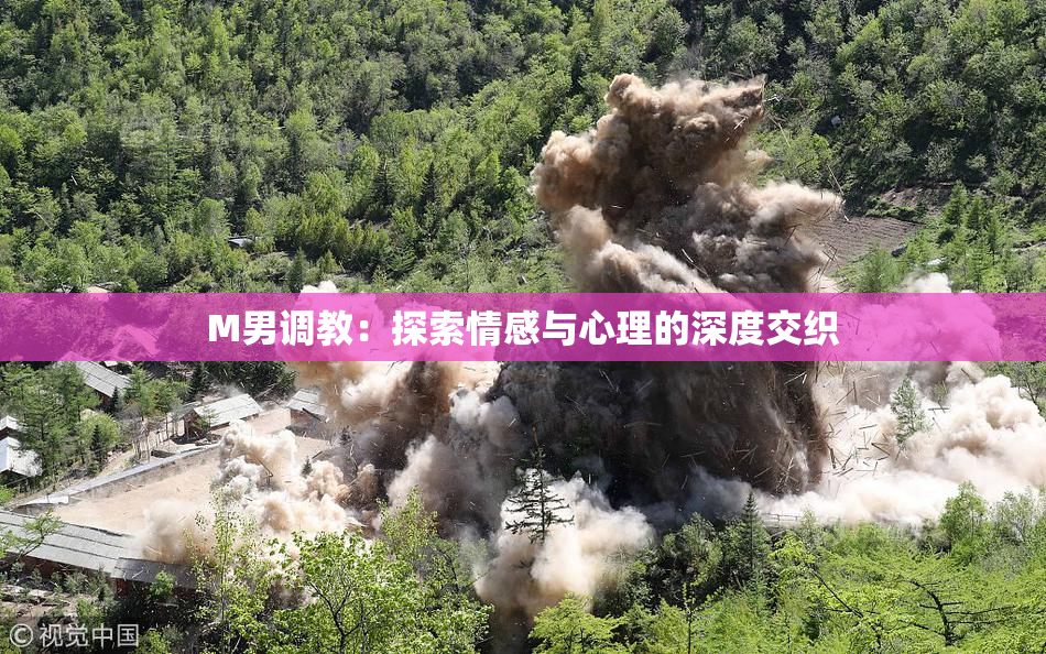 M男调教：探索情感与心理的深度交织