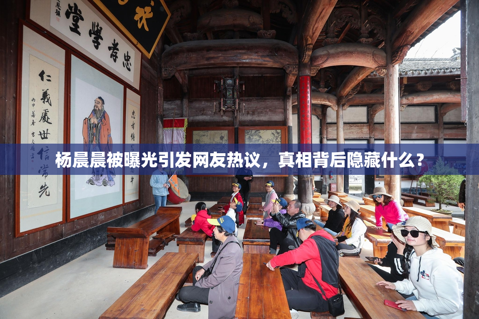 杨晨晨被曝光引发网友热议，真相背后隐藏什么？