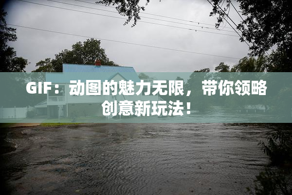 GIF：动图的魅力无限，带你领略创意新玩法！