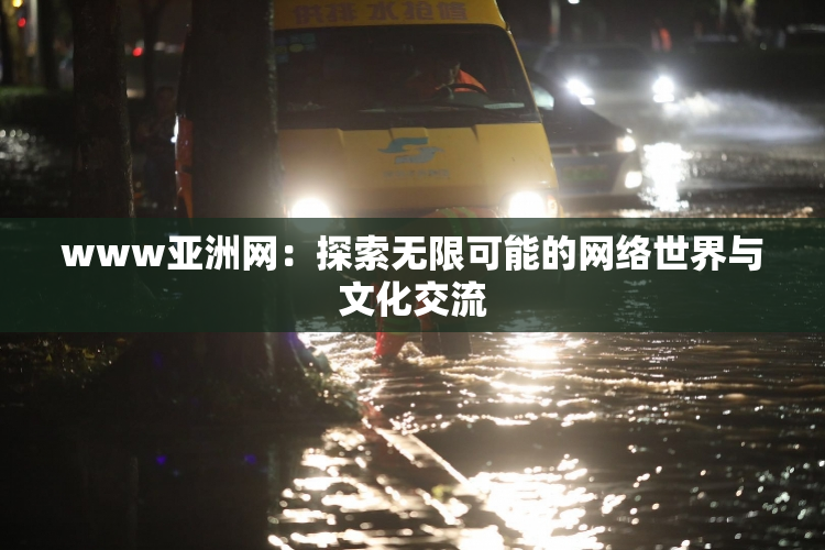 www亚洲网：探索无限可能的网络世界与文化交流