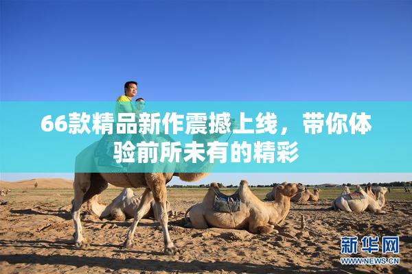 66款精品新作震撼上线，带你体验前所未有的精彩