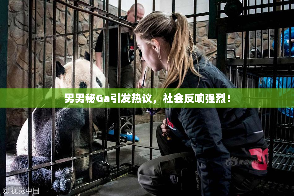 男男秘Ga引发热议，社会反响强烈！