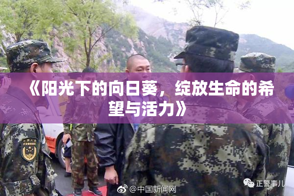 《阳光下的向日葵，绽放生命的希望与活力》