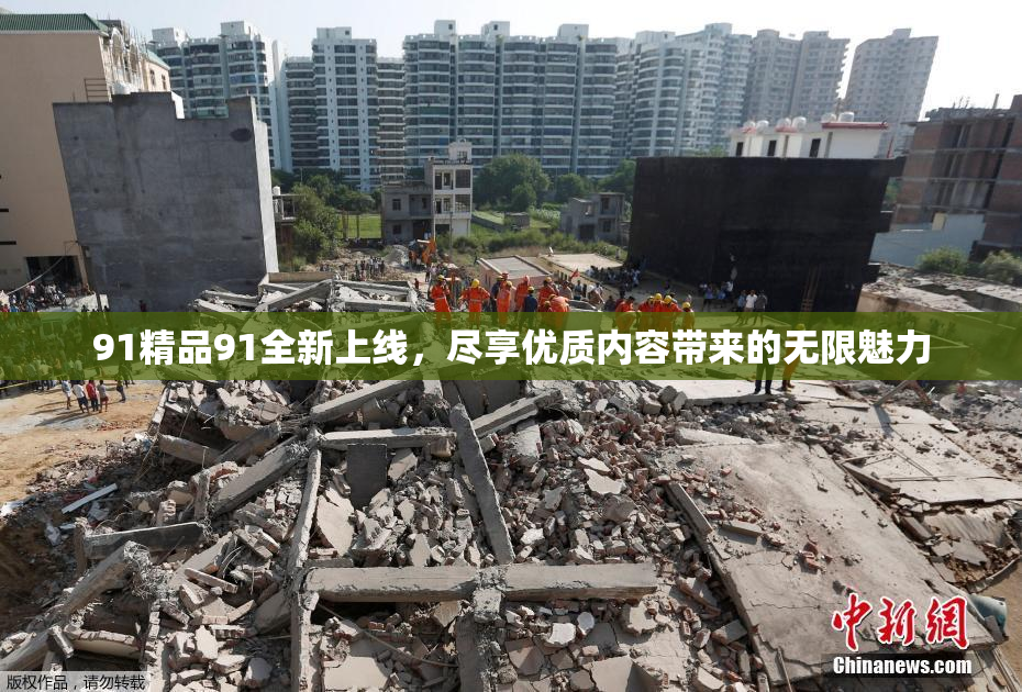 91精品91全新上线，尽享优质内容带来的无限魅力